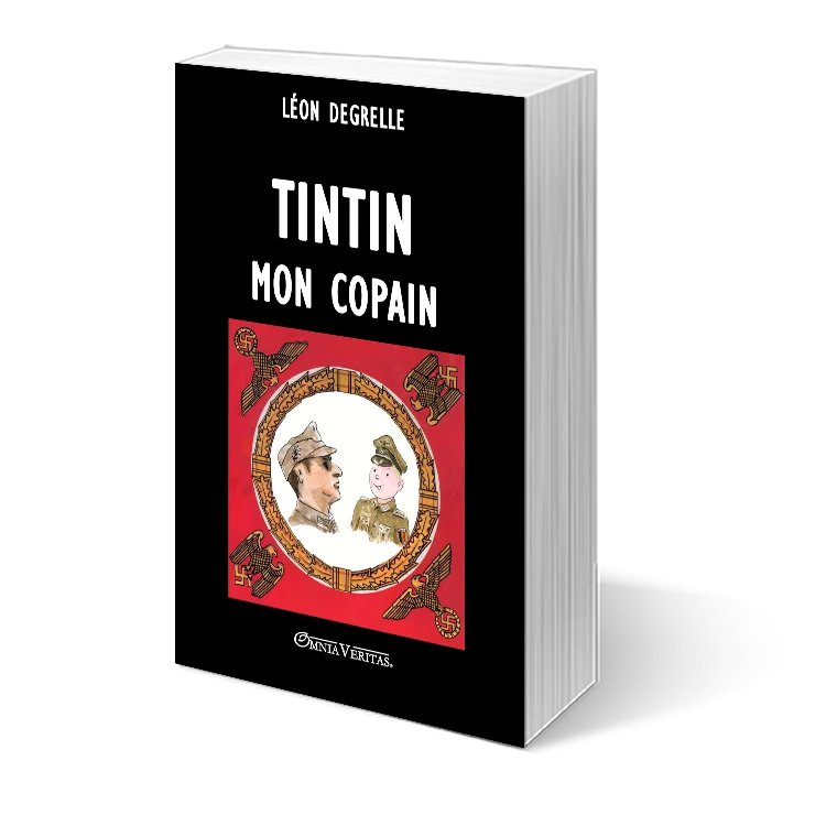 Tintin, mon copain - Image 4