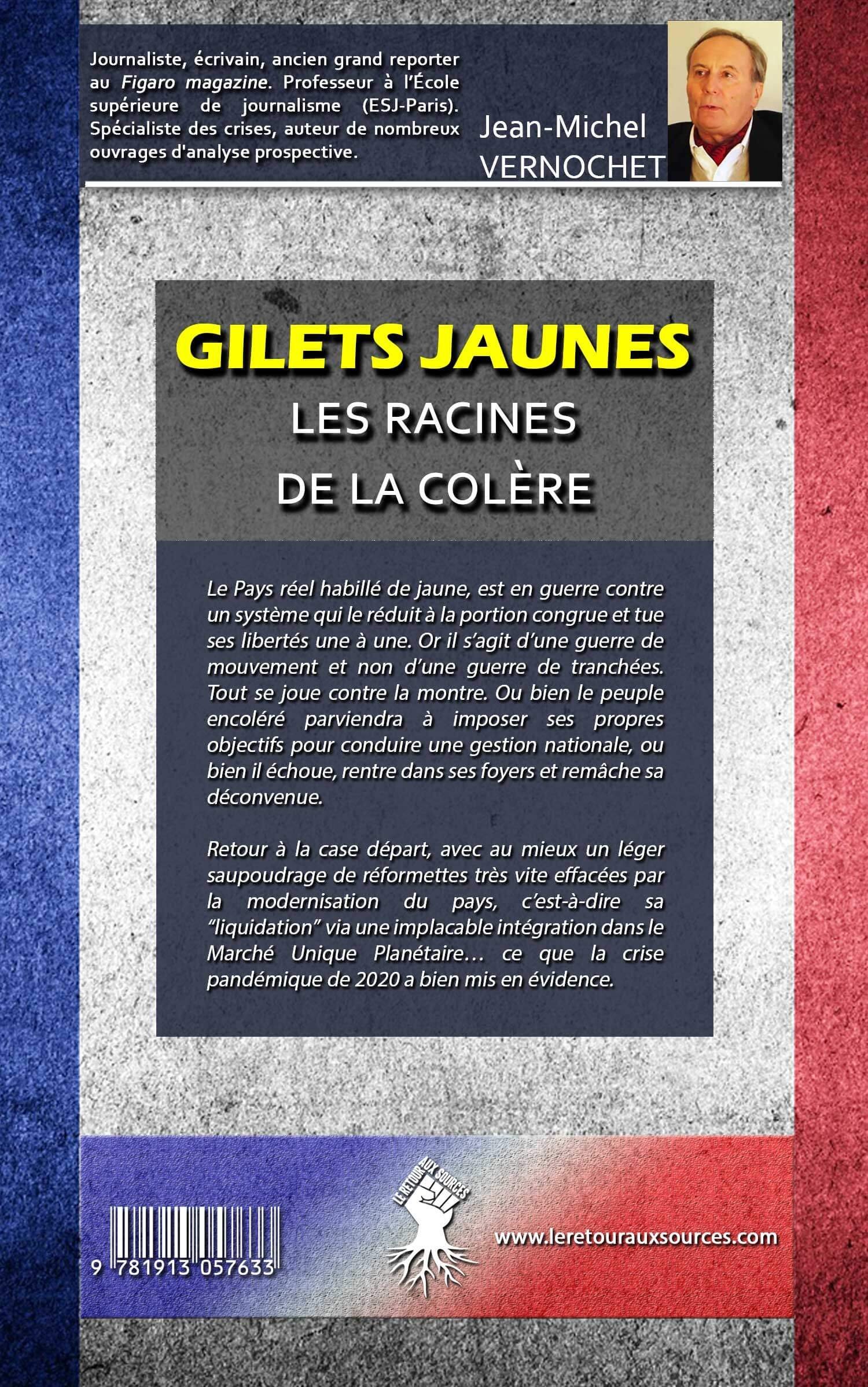 Gilets Jaunes - Les racines de la colère - Image 2