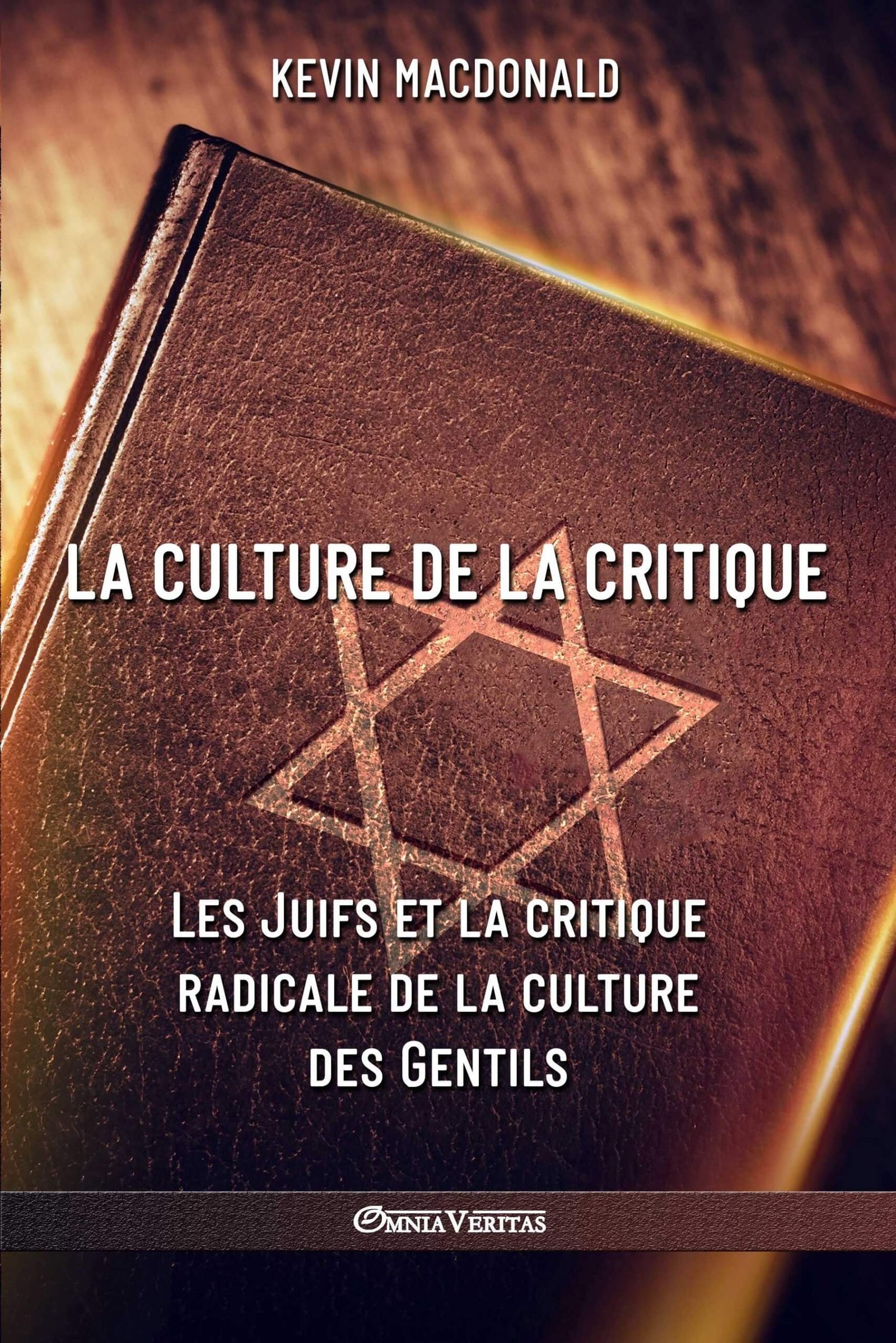La culture de la critique