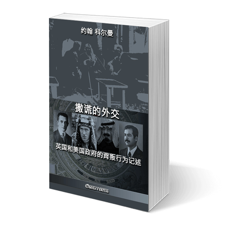 撒谎的外交 - Image 3