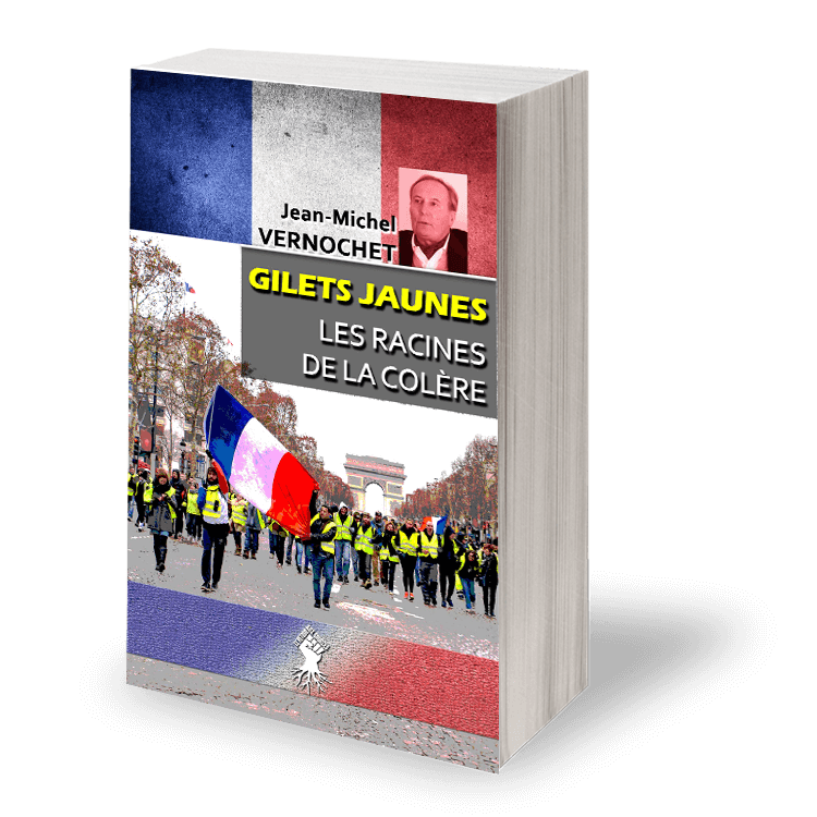 Gilets Jaunes - Les racines de la colère - Image 4